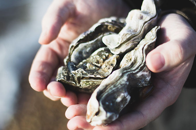 Ostras con su perla y jugo de lechuga de mar